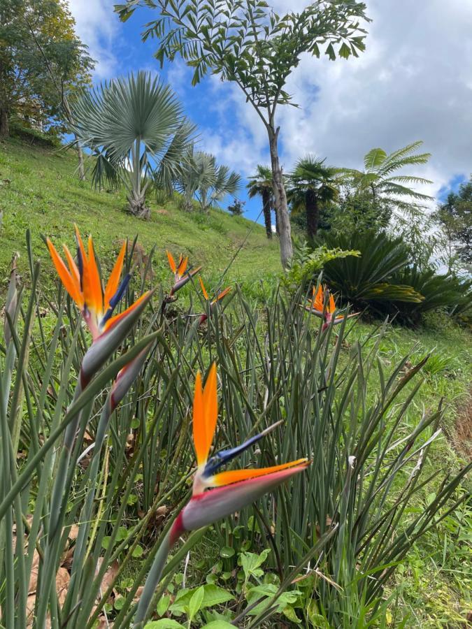 Rancho Do Paioleiro - Suites São Bento do Sapucaí Eksteriør billede